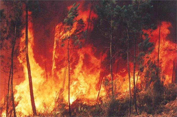 Alargamento do Período Crítico de Incêndios até 15 de Outubro