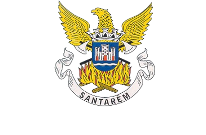logo-bvs-removebg2