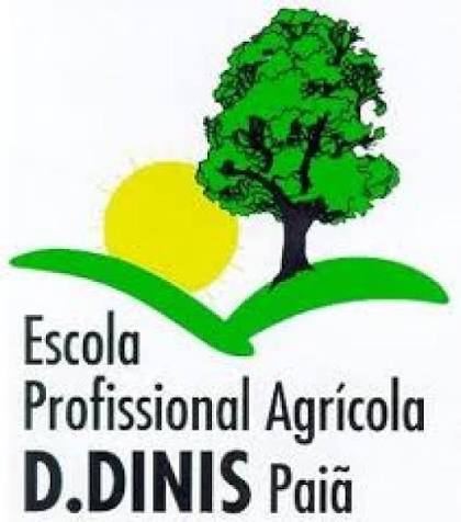paia-escola-profissional-d-dinis